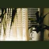 April Blinds