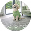 Flair Blinds